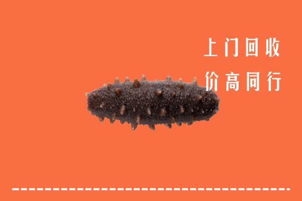 高价求购：黄石回收海参